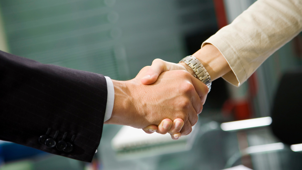 A close-up of two hands engaged in a firm handshake.