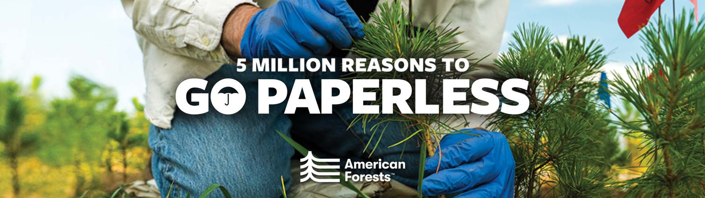 5 Million Reasons to Go Paperless” with American Forests Logo. Person planting a seedling pine.