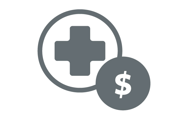 gray icon for bodily injury loss costs
