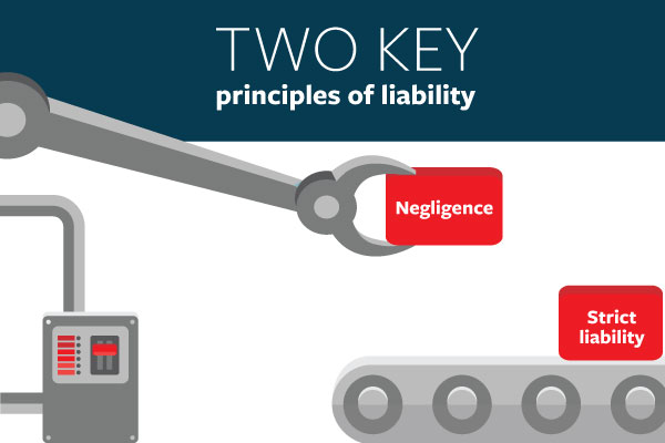 Two Key Principles of Liability: Negligence, Strict Liability