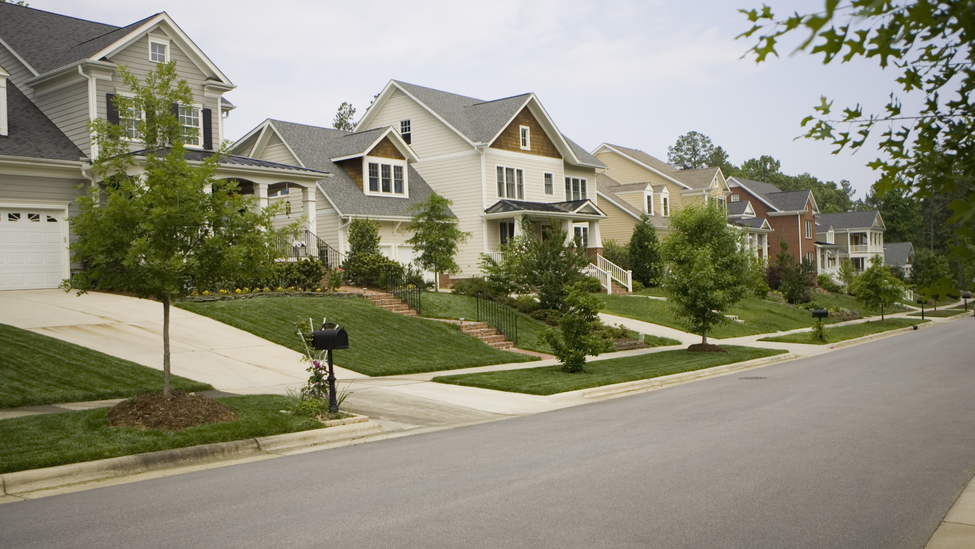 Suburban street with a row of houses.