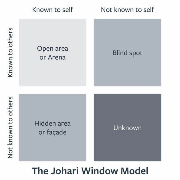 The johari window model