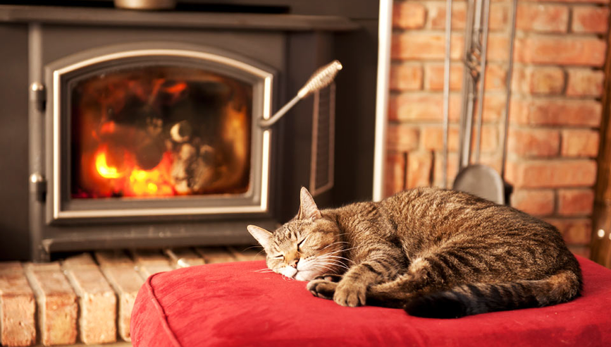 cat laying on a cushion by a wood stove