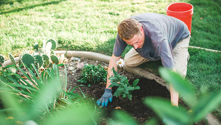 A man tending to his garden.