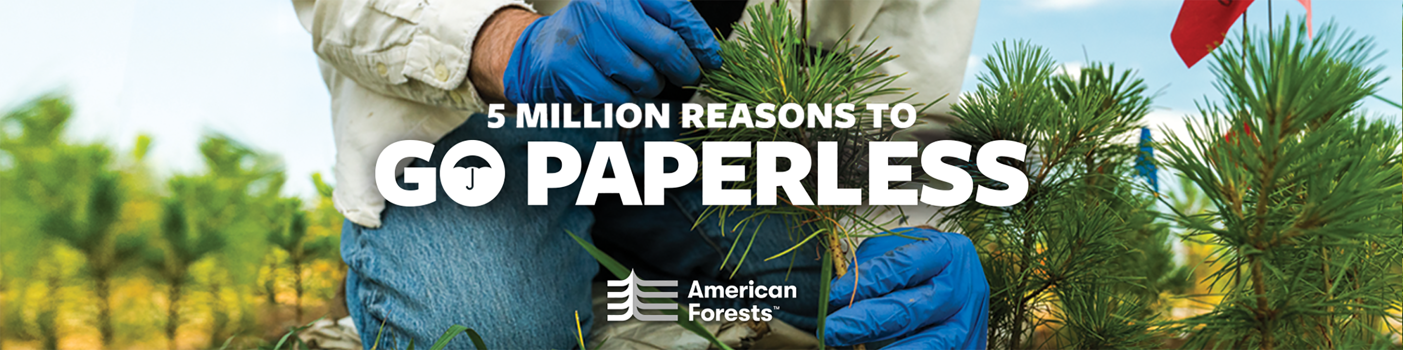 5 Million Reasons to Go Paperless” with American Forests Logo. Person planting a seedling pine.