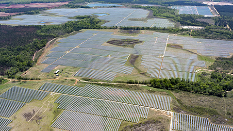 Arial view of a solar farm.
