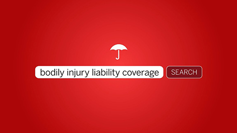 bodily injury liability coverage.