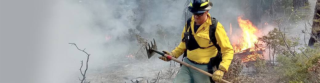 A professional with a tool checking out a wildfire in the woods.