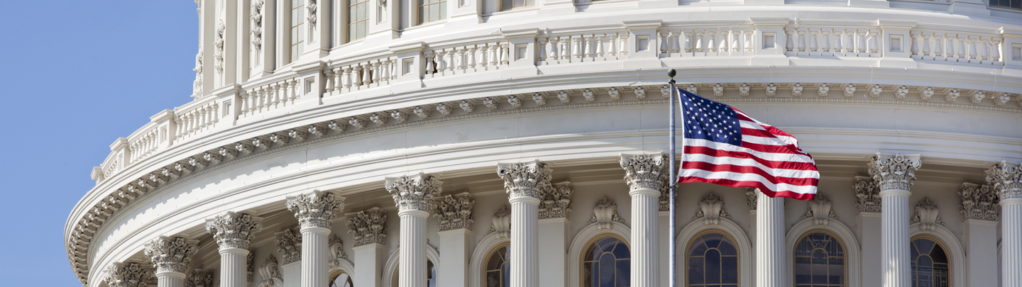 U.S. Capitol with American flag