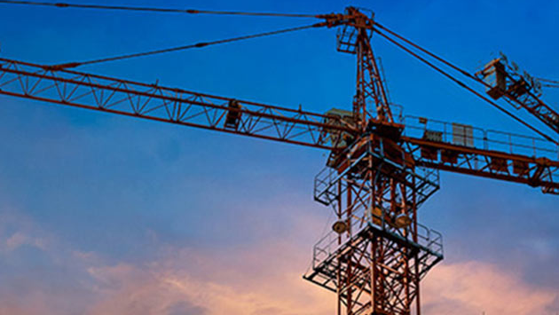 Closeup image of crane at sunset.