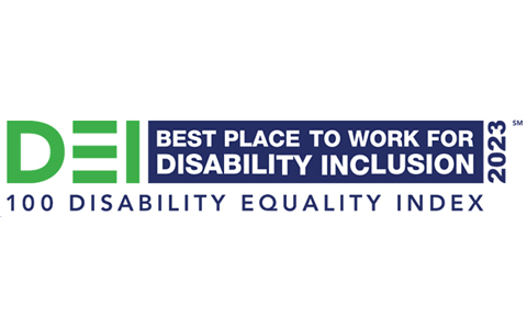 graphic for the disability equality index 