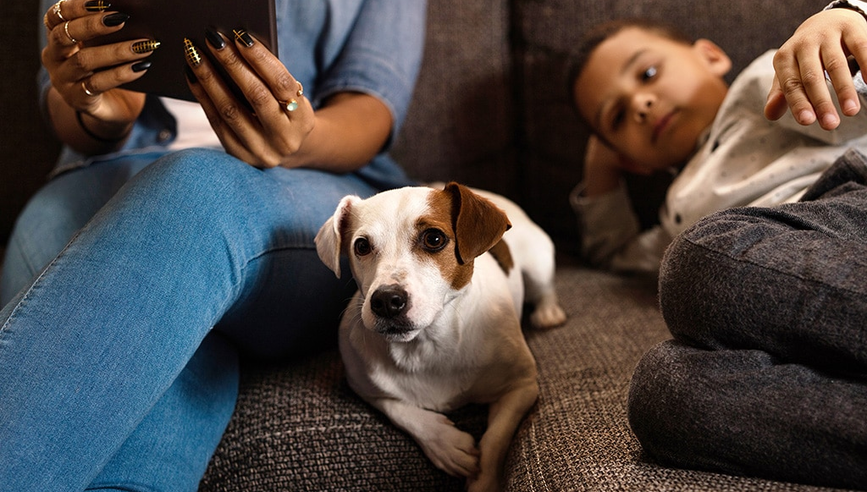 Dog sitting on couch in between an adult and a child.