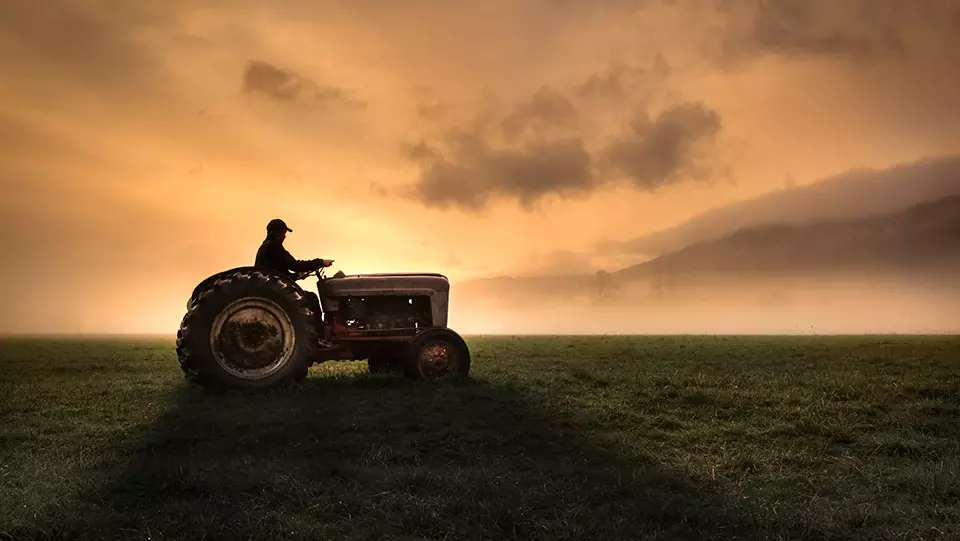 Farmer driving tractor trailer on farm at sunrise.
