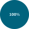 Pie chart showing 100% variable.