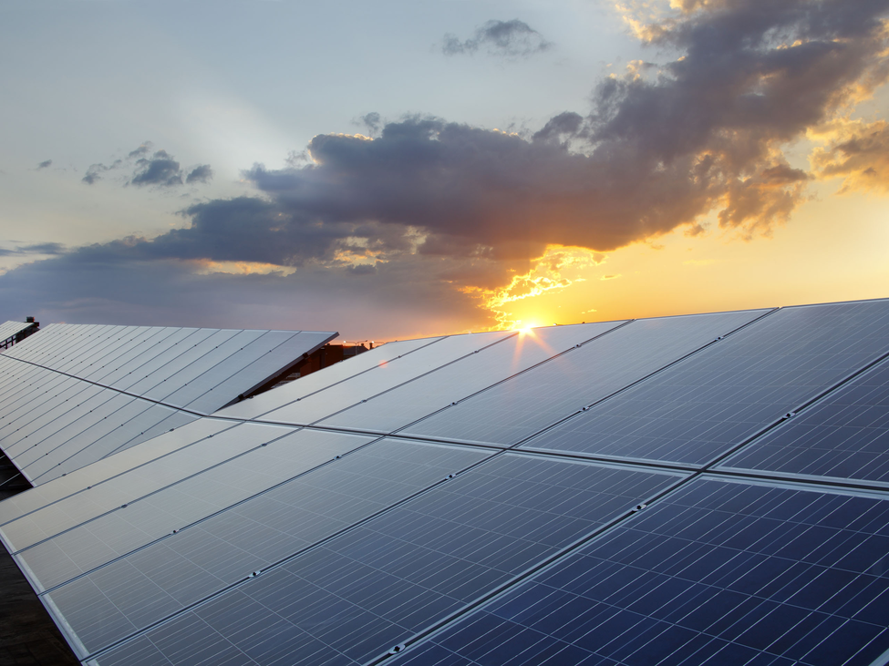 Solar panels against a sky at sunrise. 