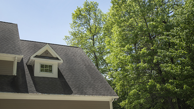 home inspector roof.