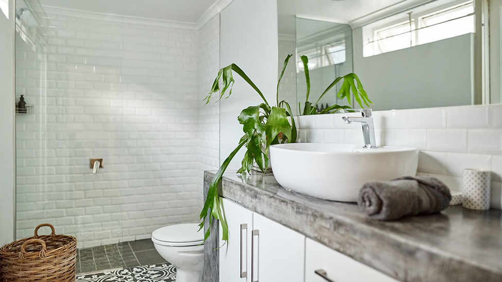 A bathroom countertop in close view with green plant and modern shower in the background.