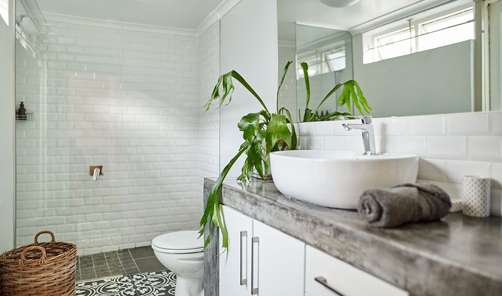 Clean bathroom with counter and plant.