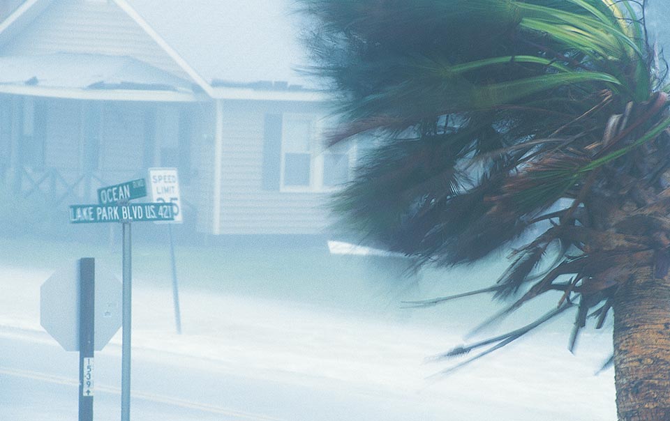 Palm tree blowing in hurricane winds in front of a house.
