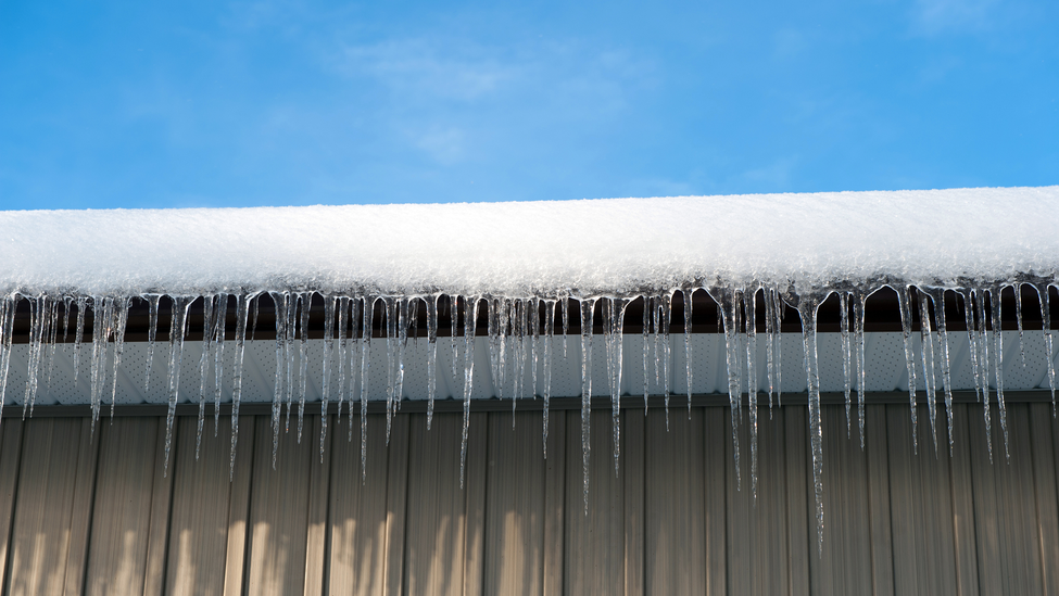 Long icicles hanging from a roof.