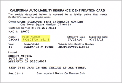 screenshot example of an auto ID card