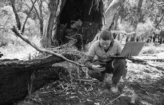 Woman kneeling taking a photo with phone of a burnt tree