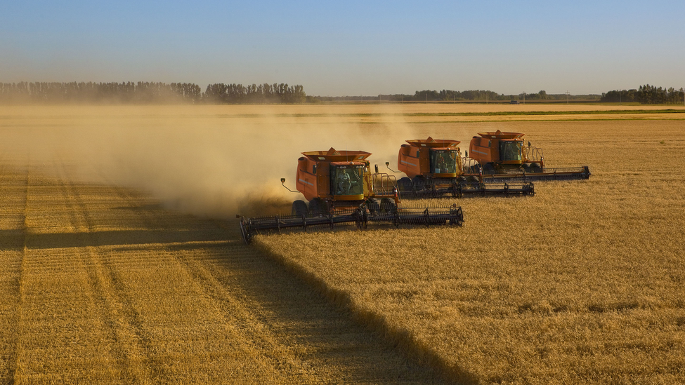 large-scale-tractor-wheat-harvest-operation.jpg