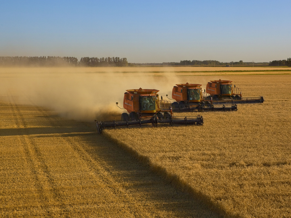 Three large harvesters move in synch on a field in American prairielands.