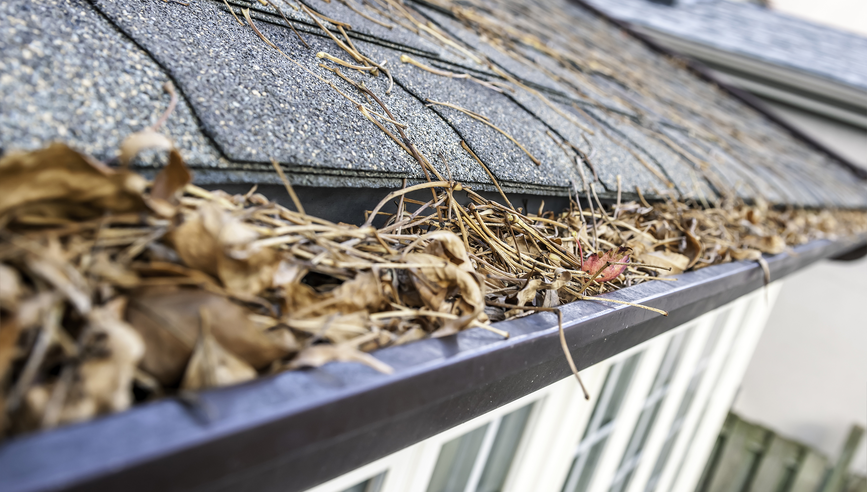 Gutters filled with leaves in the fall