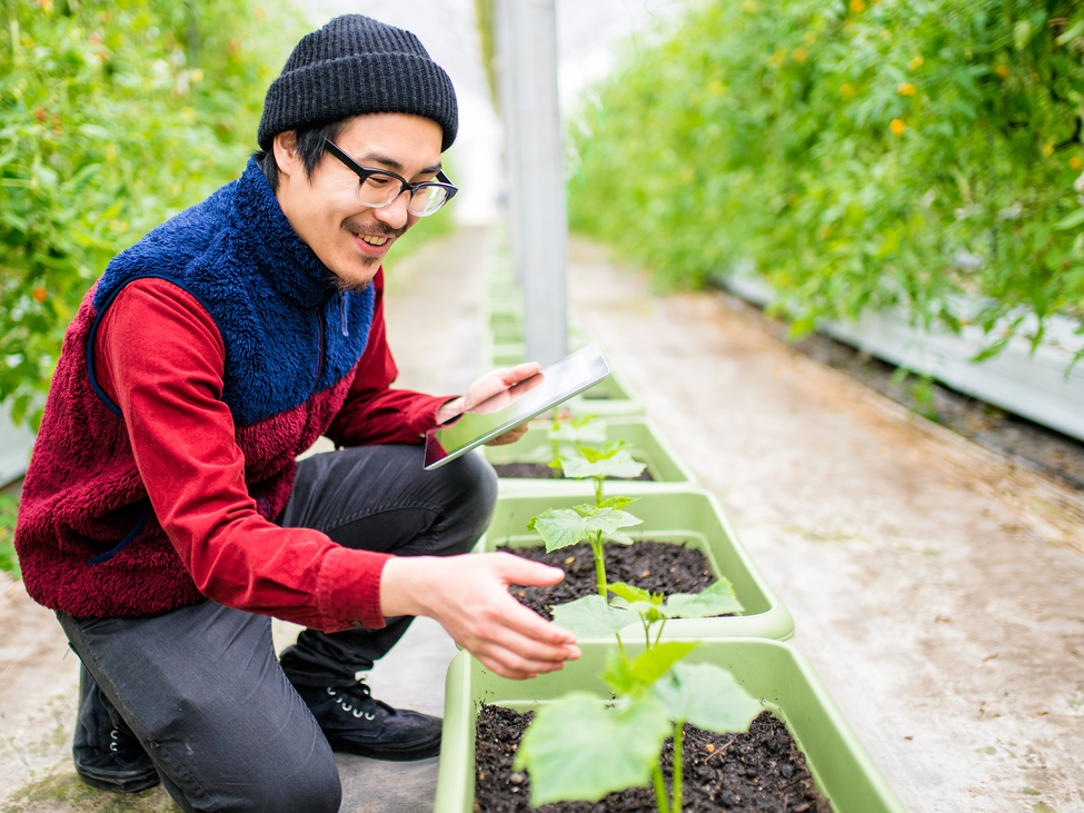 Man tending garden box.