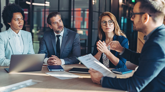 meeting-of-business-professionals-large.jpg