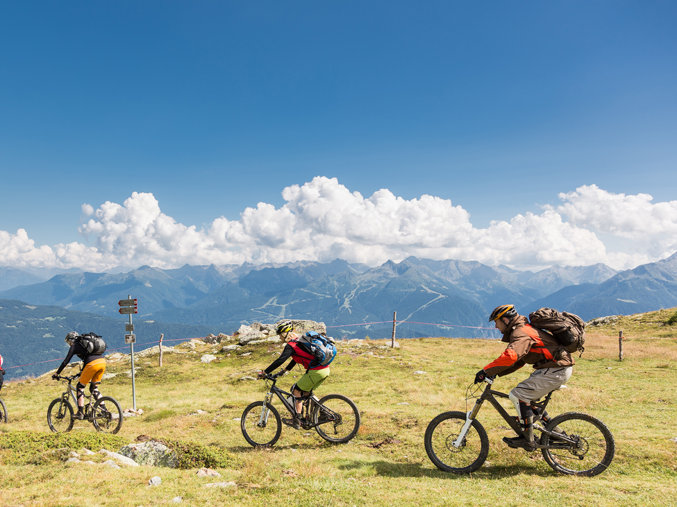 Four cyclists ride on mountain grass. 