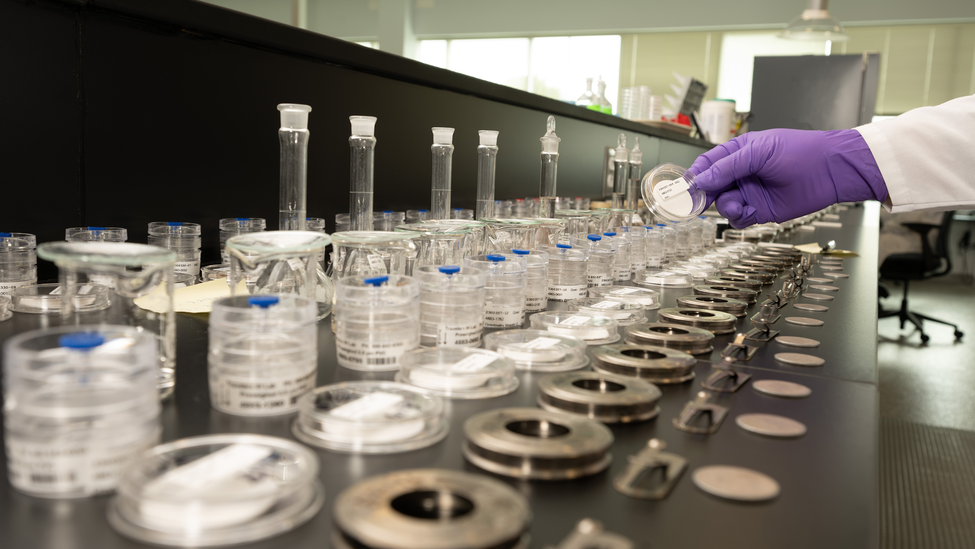 A display of clean rows of lab samples in ordered containers.