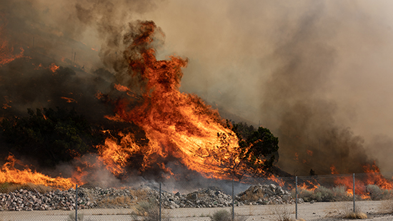 wildfire burning in field.