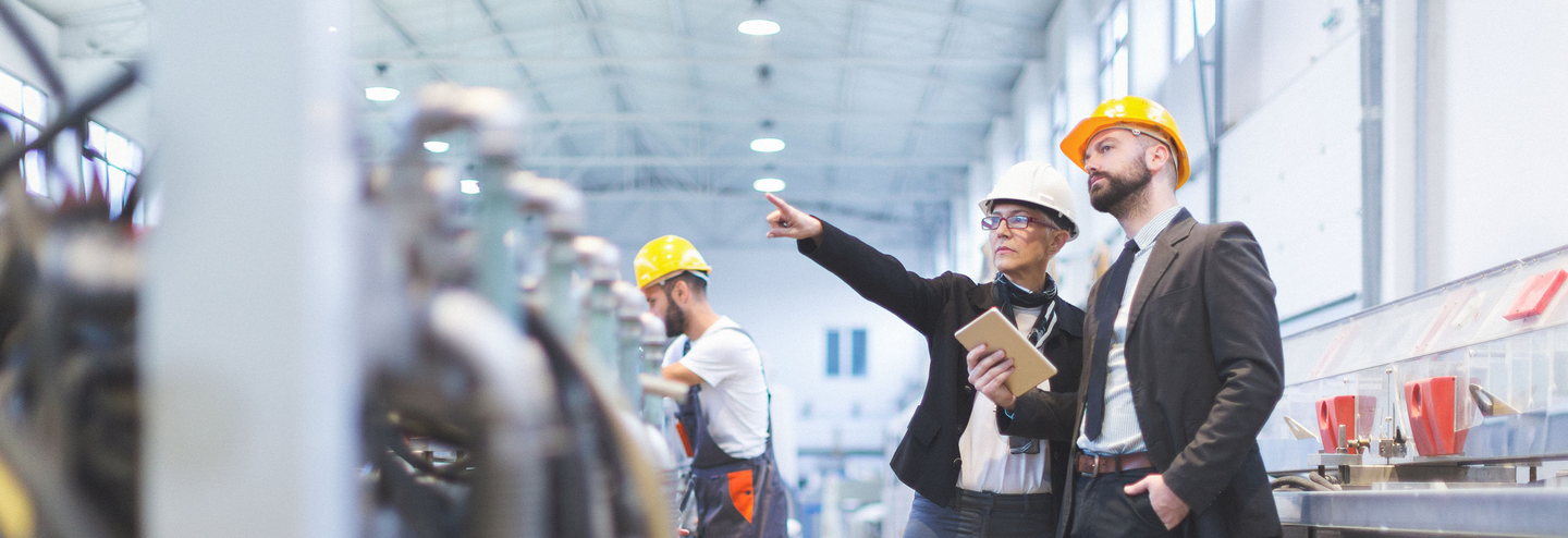 Two business leaders in a warehouse wearing hard hats and conferring, one pointing.