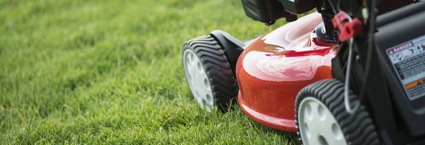 Close up image of a red push lawn mower on green grass.