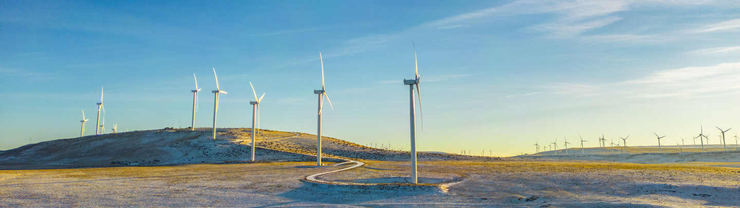 Row of wind turbines.