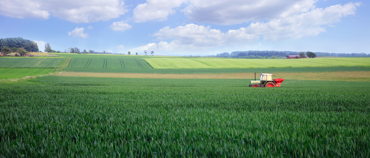 Tractor driving in the green fields of the American Midwest. 