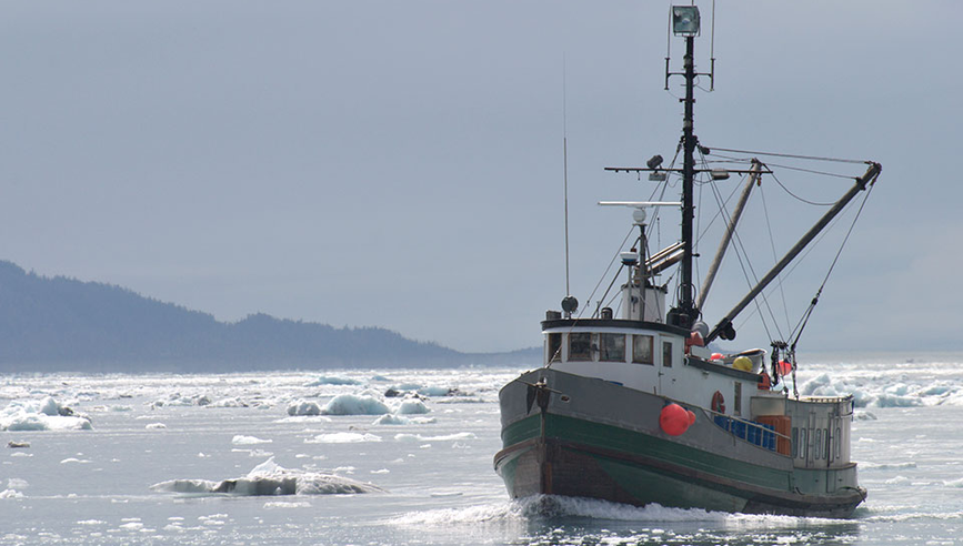 Ship in artic water minimizing LED lighting risks.