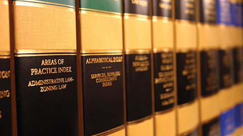 A row of legal books in a tightly shelved row. 