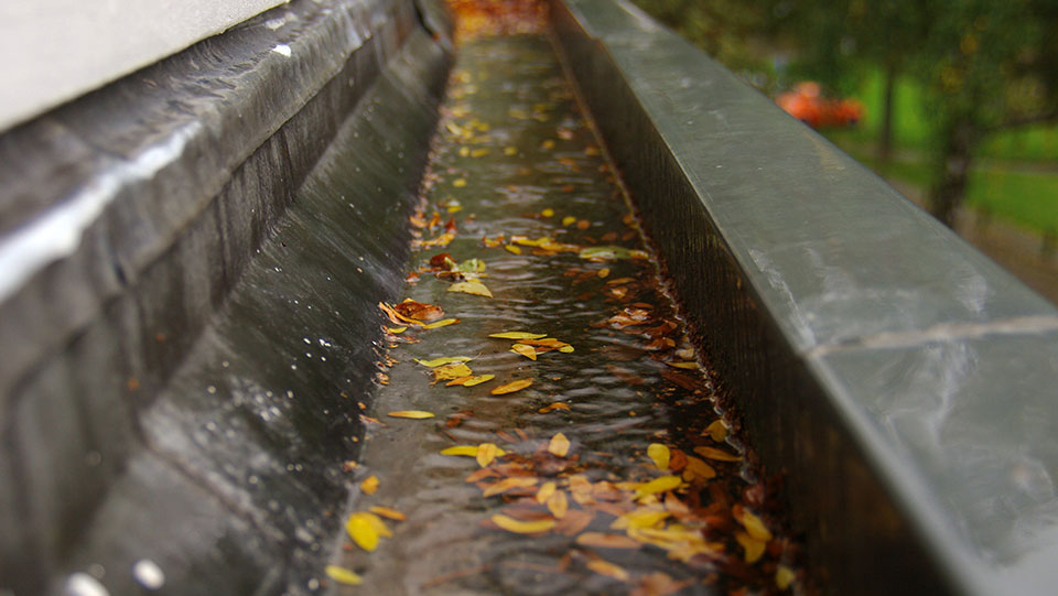 Dirty gutters can cause water damage.