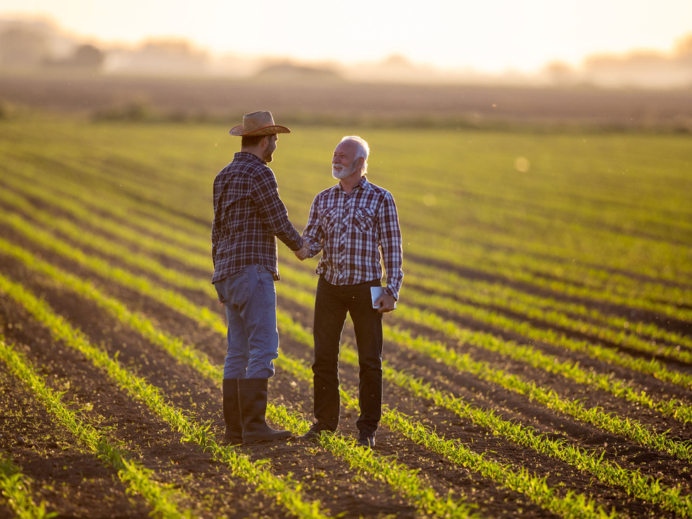 Two farmers in agribusiness shake hands while standing in a field. 