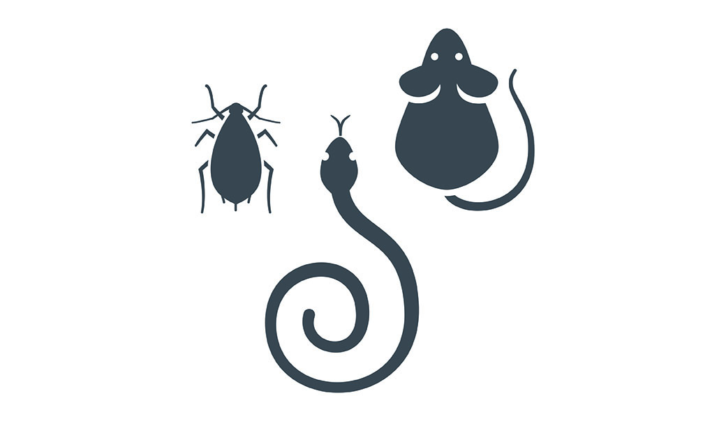 vegetation-management-icon-pests.