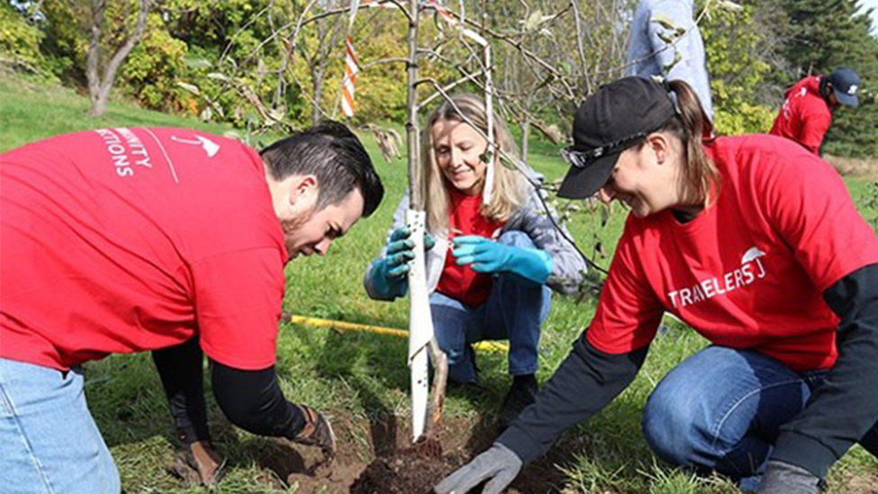 3 volunteers planting a tree.