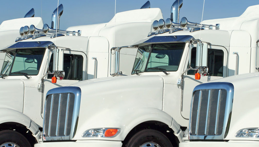 front angled shot of white semi trucks lined up on green lawn