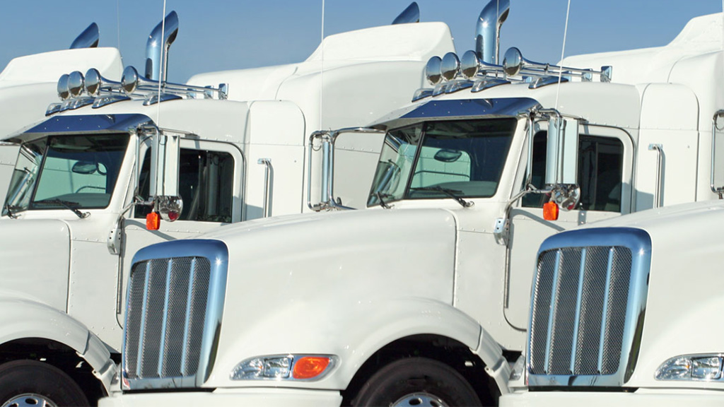 front angled shot of white semi trucks lined up on green lawn