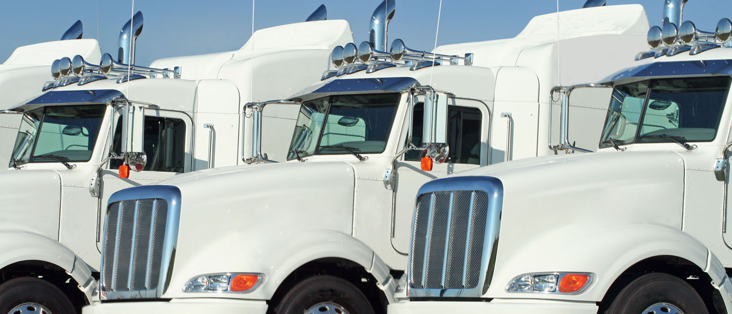 front angled shot of white semi trucks lined up on green lawn