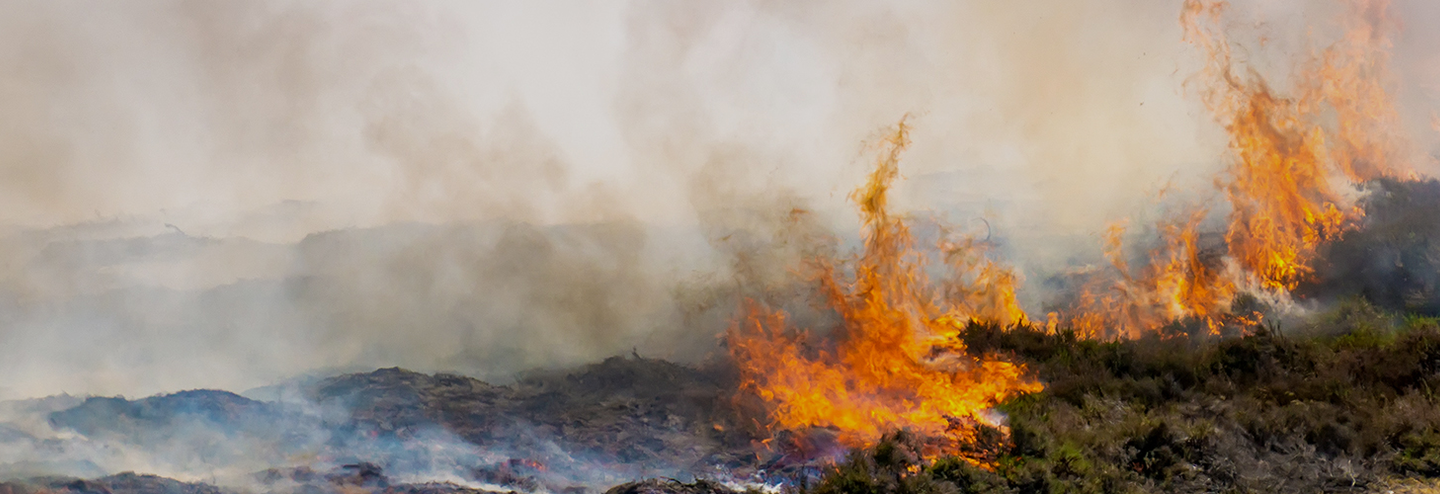 Wildfire burning out of control on a dry mountain range.