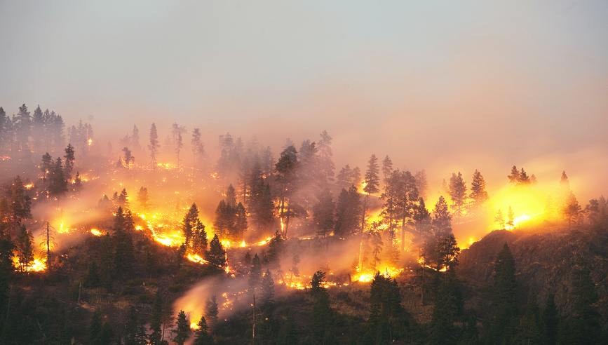 Wildfire spreading across forests and lands.