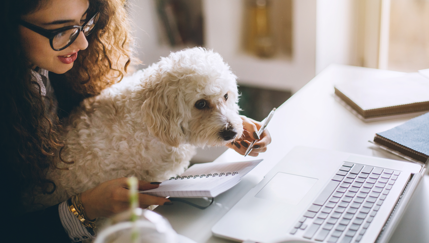 Stylish brunette working from home in her home office and holding her dog in her lap.; I'm not under stress when this cutie is here!